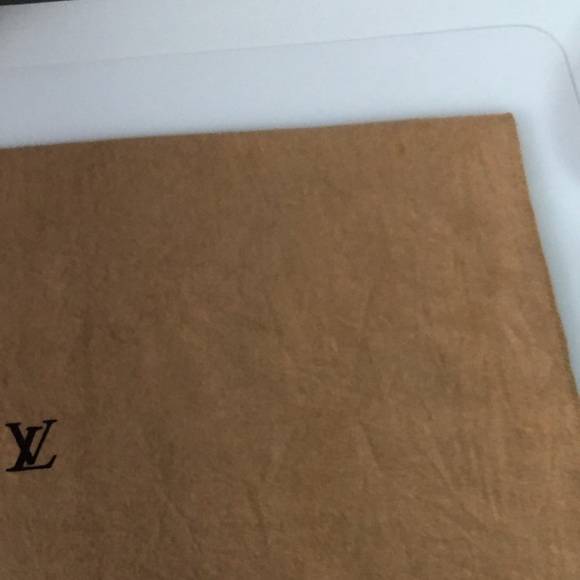 💙LV Vintage Dustbag ( Item #13 ) - Picture 7 of 10